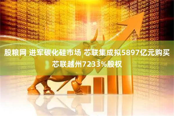 股粮网 进军碳化硅市场 芯联集成拟5897亿元购买芯联越州7233%股权
