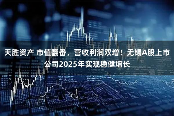 天胜资产 市值翻番，营收利润双增！无锡A股上市公司2025年实现稳健增长