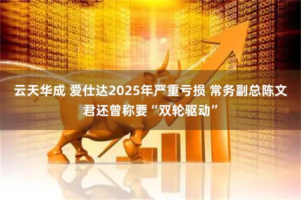 云天华成 爱仕达2025年严重亏损 常务副总陈文君还曾称要“双轮驱动”