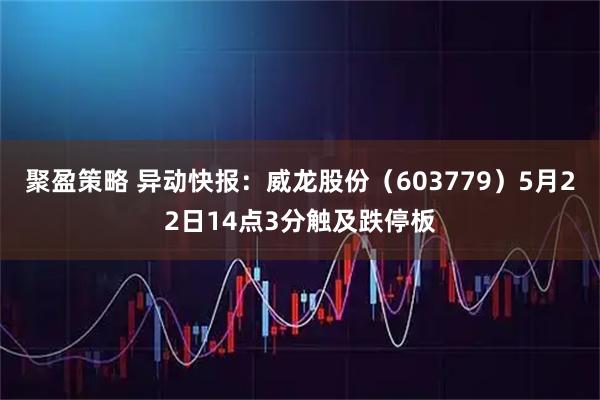 聚盈策略 异动快报：威龙股份（603779）5月22日14点3分触及跌停板