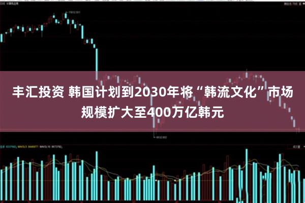 丰汇投资 韩国计划到2030年将“韩流文化”市场规模扩大至400万亿韩元