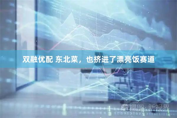 双融优配 东北菜，也挤进了漂亮饭赛道