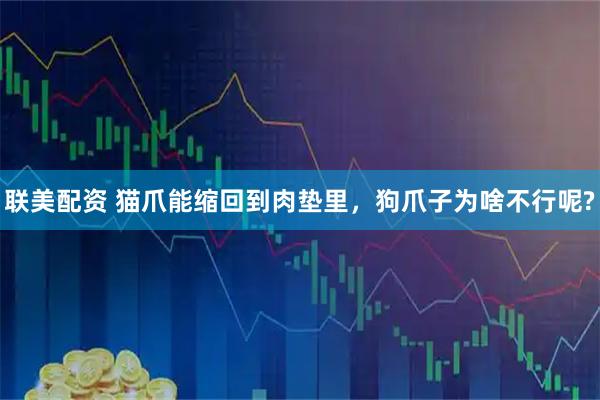 联美配资 猫爪能缩回到肉垫里，狗爪子为啥不行呢?
