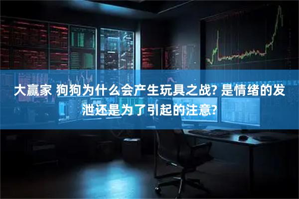大赢家 狗狗为什么会产生玩具之战? 是情绪的发泄还是为了引起的注意?
