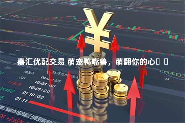 嘉汇优配交易 萌宠鸭嘴兽，萌翻你的心❤️