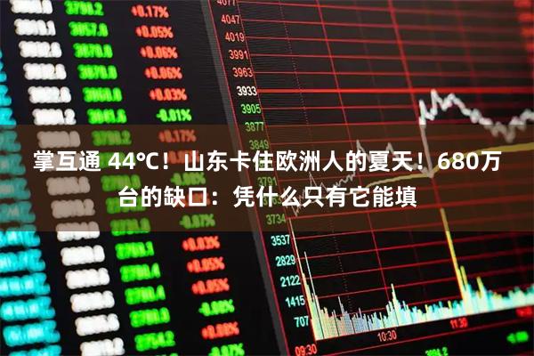 掌互通 44℃！山东卡住欧洲人的夏天！680万台的缺口：凭什么只有它能填