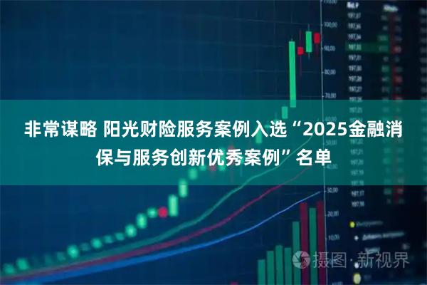 非常谋略 阳光财险服务案例入选“2025金融消保与服务创新优秀案例”名单