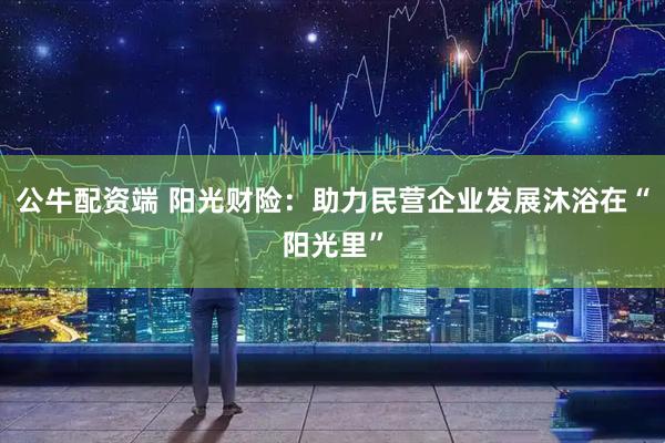 公牛配资端 阳光财险：助力民营企业发展沐浴在“阳光里”